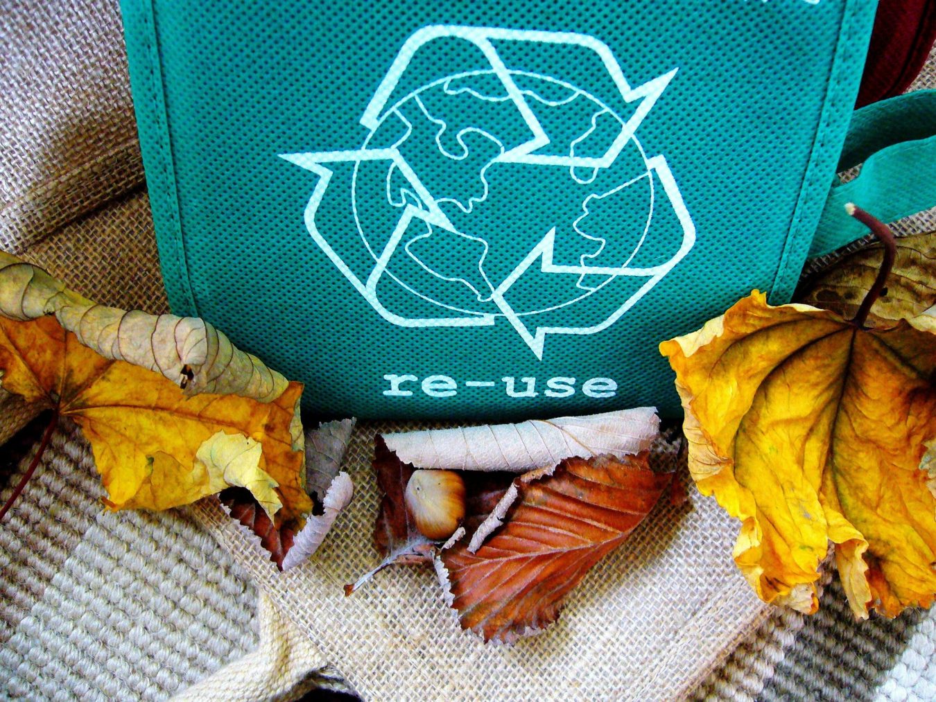 Trash Pick Up And Recycle Schedule For 2021 Village Of Mayville